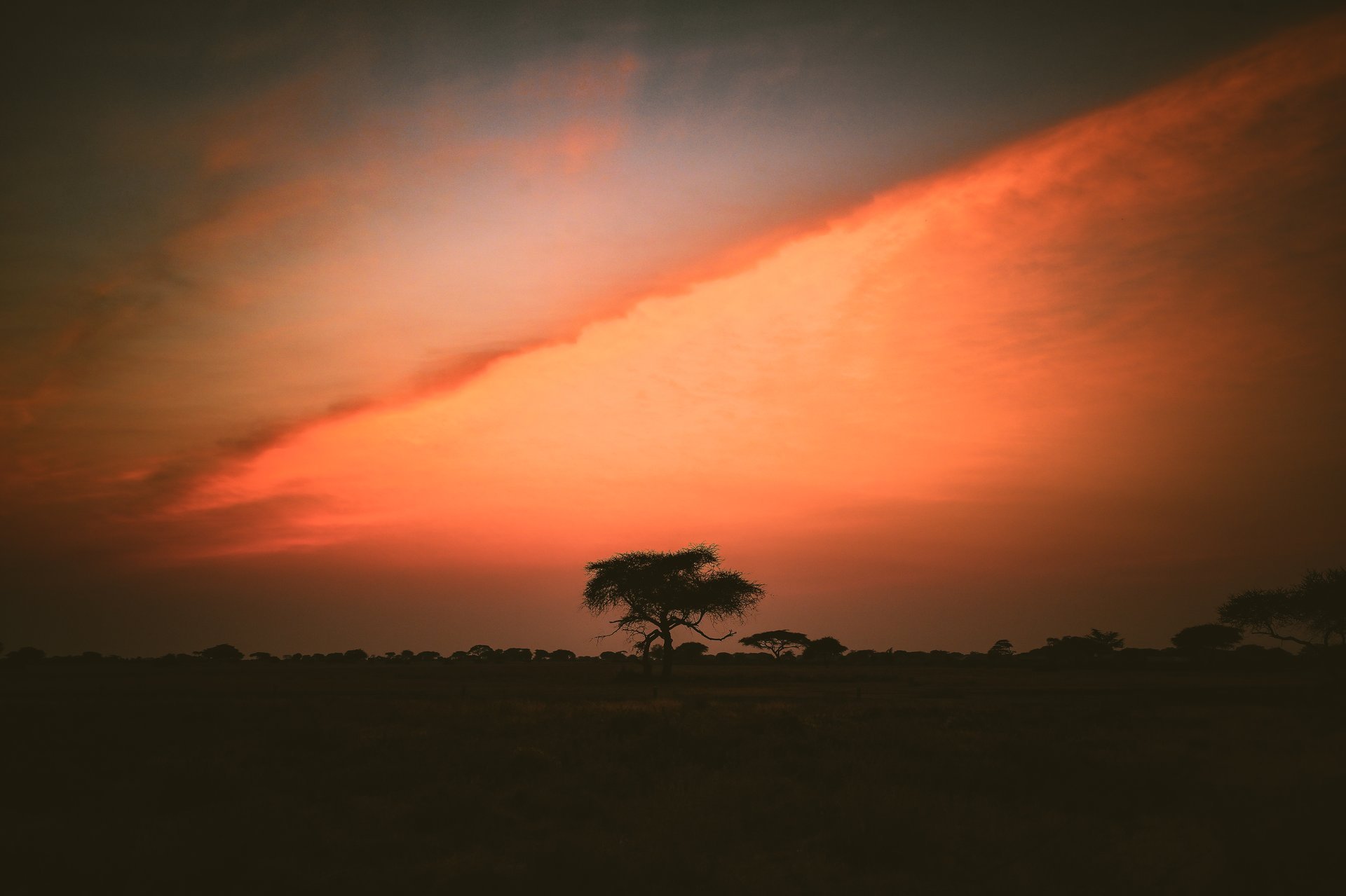 Namibia Safari Sunset