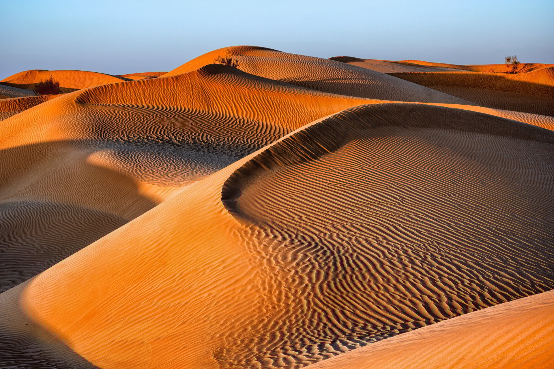 Namibia desert dunes at sunset